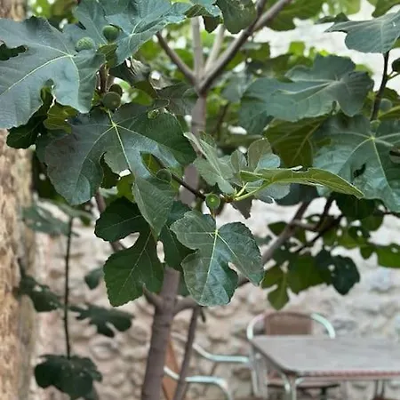 15 Vencejos Casa de Férias Montemayor de Pililla