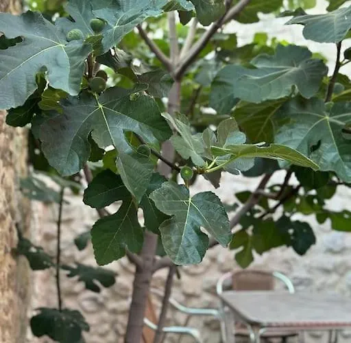 15 Vencejos بيت للعطل Montemayor de Pililla