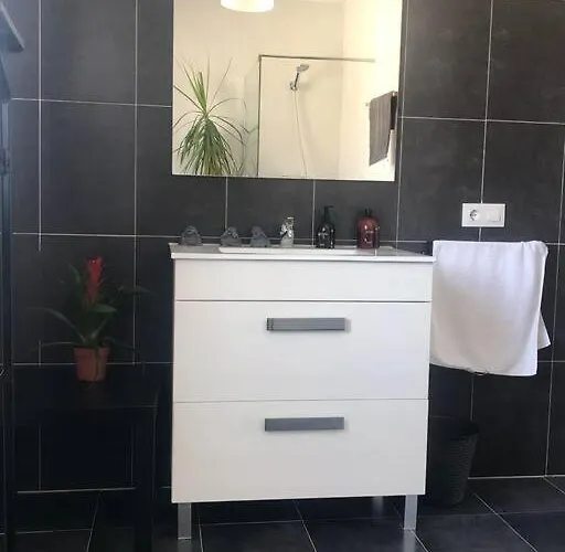 15 Vencejos Montemayor de Pililla